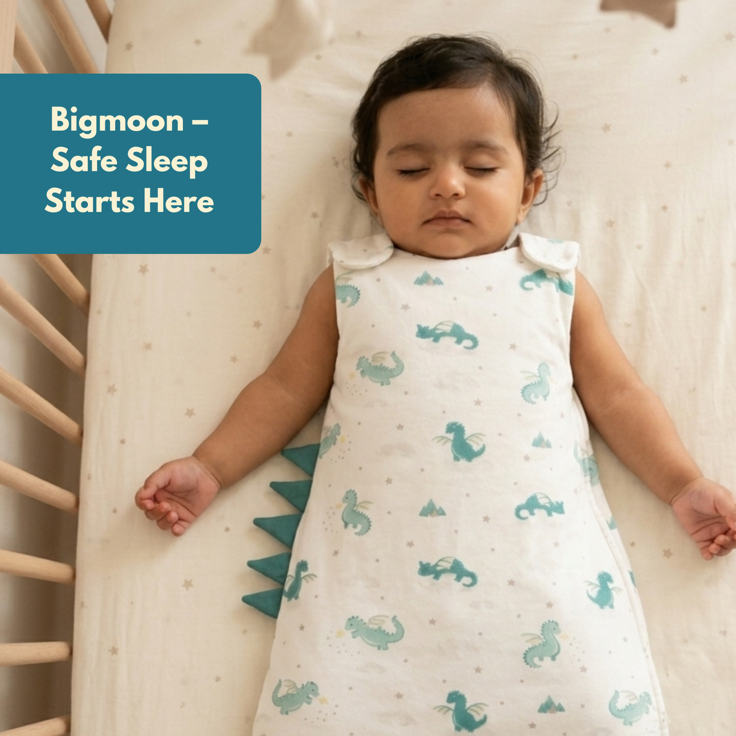 Organic Cotton Baby Sleep Sack 1.5 TOG, Pack of 1 – Dragon Adventure