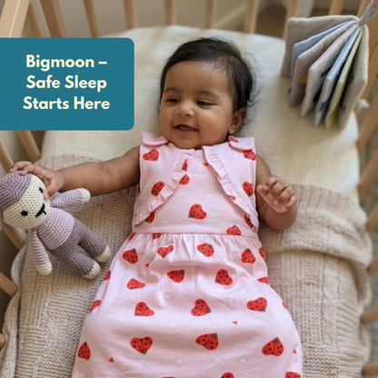 Organic Cotton Baby Sleep Sack 1.5 TOG, Pack of 1 – Pink Butterfly